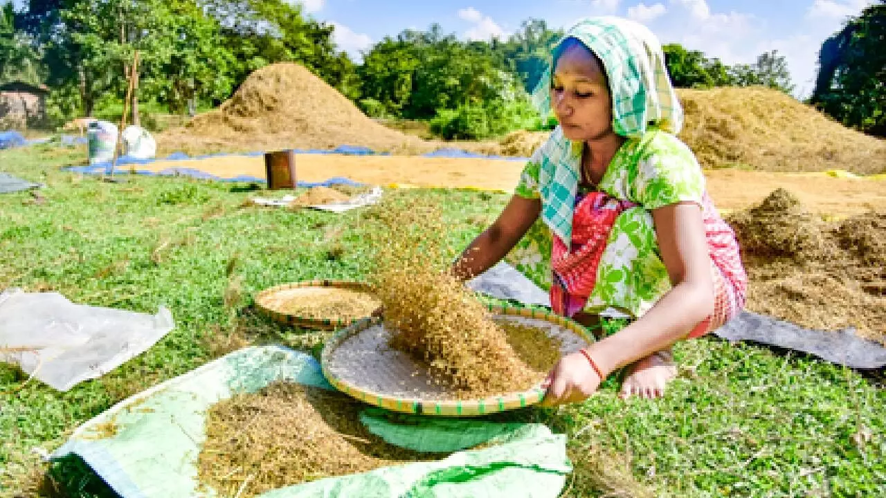 India records decade’s highest surge in foodgrain production