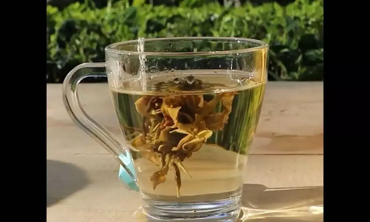 Assam tea trader to launch ‘Anti Black Friday Sale