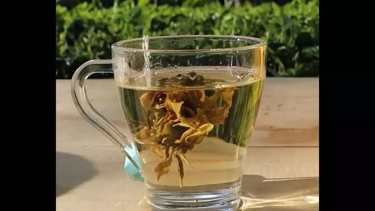 Assam tea trader to launch ‘Anti Black Friday Sale