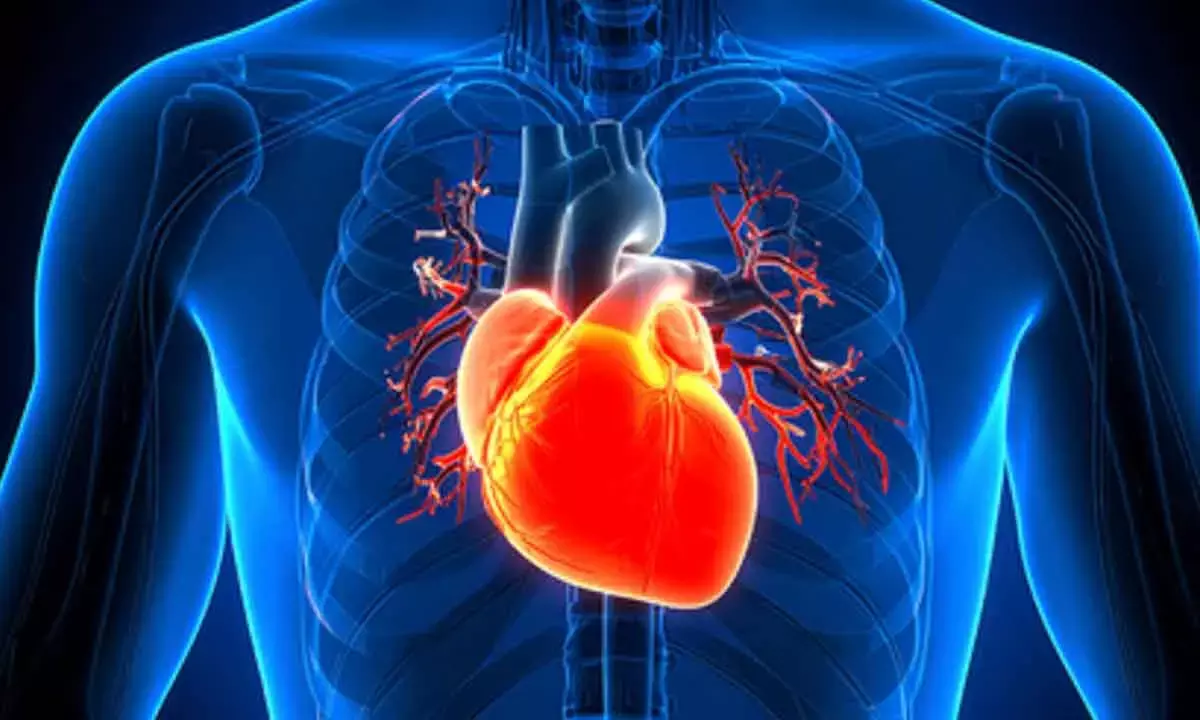 Current heart screening tools missing 45% people at risk: Study