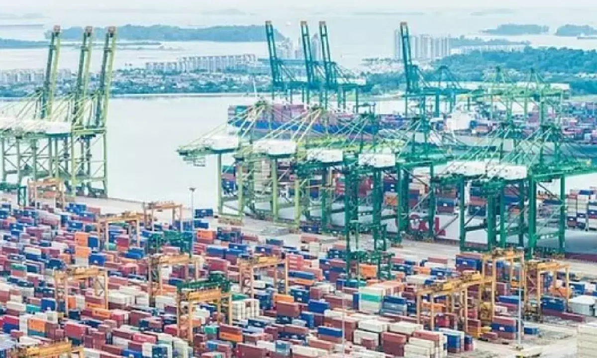 Marine exports rise 16% driven by non-US mkts