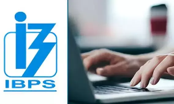 IBPS Clerk Prelims Cut Off 2025 Released: Check State-Wise Qualifying Marks, Sectional Cut-Off & Key Details IBPS Clerk Prelims Cut Off 2025 Released: Check State-Wise Qualifying Marks, Sectional Cut-Off & Key Details