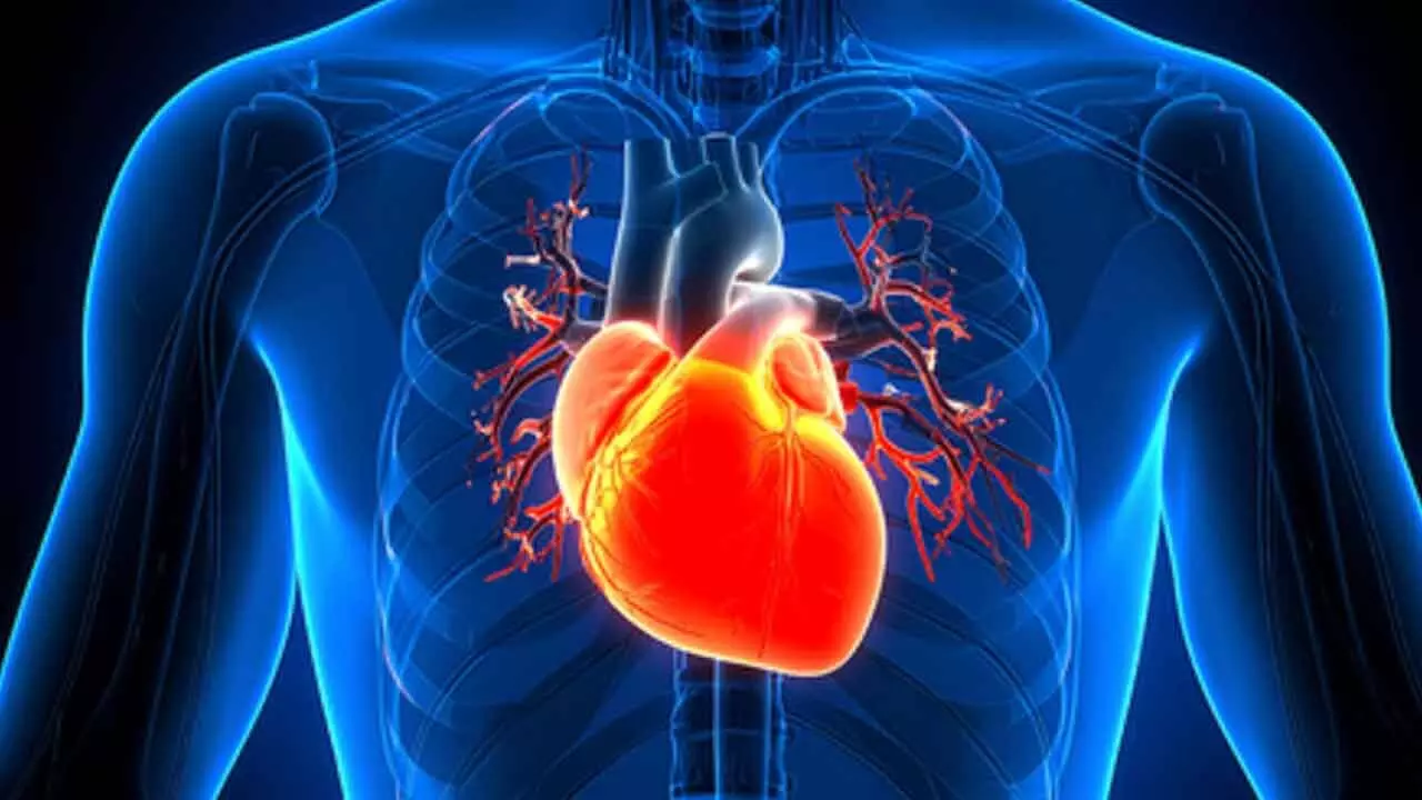 Current heart screening tools missing 45% people at risk: Study