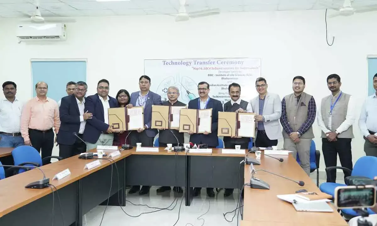 IIT Bhubaneswar signs pact for novel TB vax tech