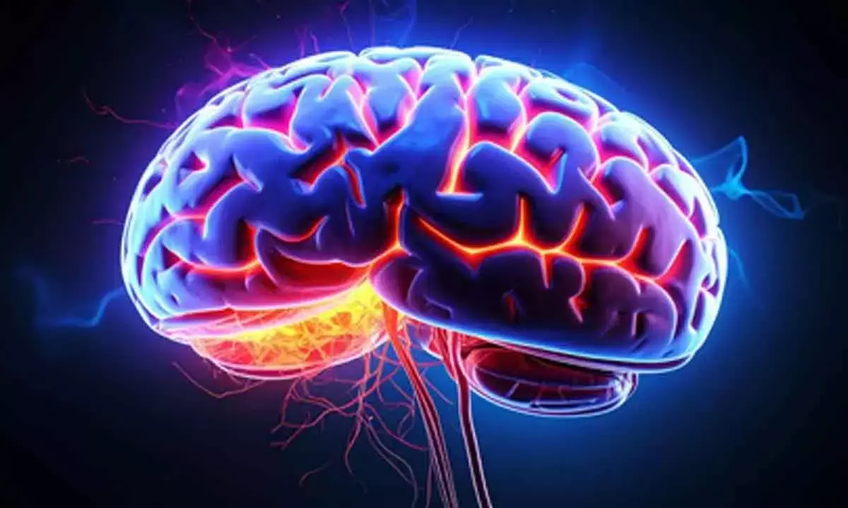 Parkinsons disease causes progressive changes in brains blood vessels: Study