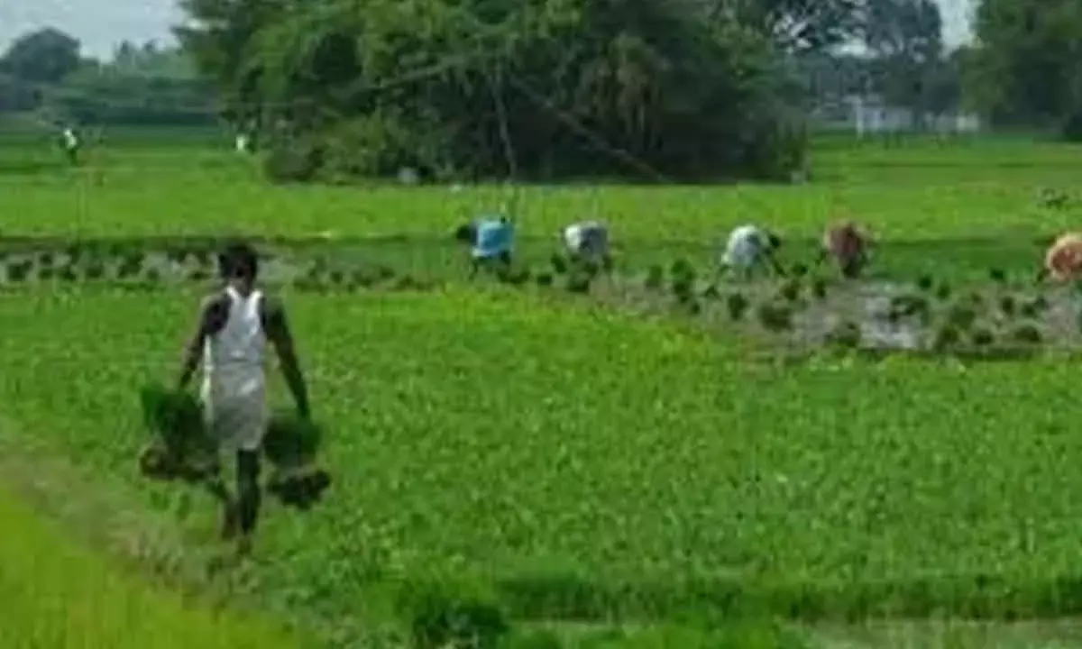 Govt keen on green fuel-based farm mechanisation
