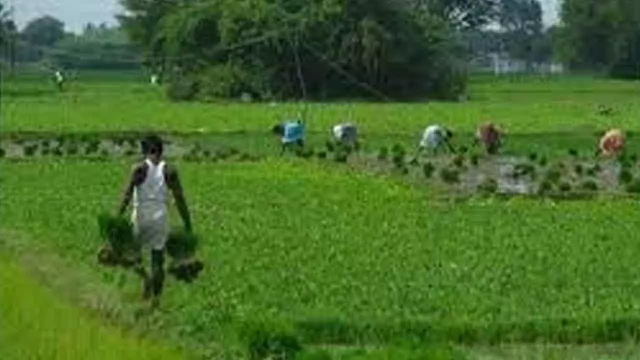 Govt keen on green fuel-based farm mechanisation
