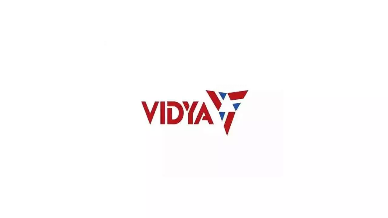 Vidya Wires’ Rs 300-cr IPO on Dec 3