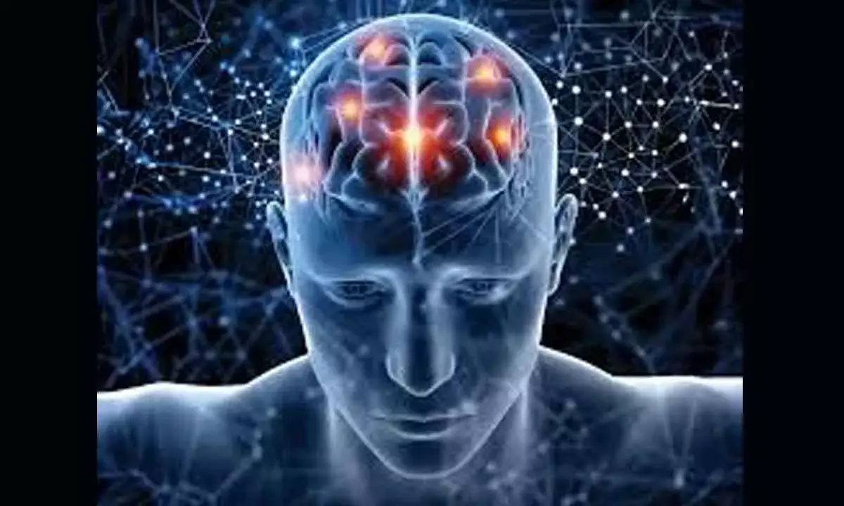 To find solution for AI’s energy crisis, look at human brain