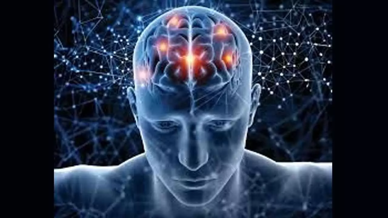 To find solution for AI’s energy crisis, look at human brain