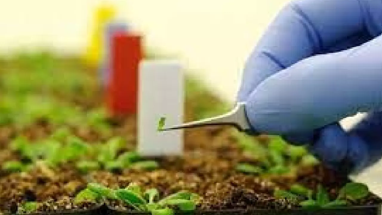 Conduct long-term field trials to check efficacy of nano-fertilisers: Panel