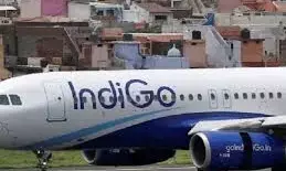 Explained: Why Over 100 IndiGo Flights Were Cancelled in a Single Day