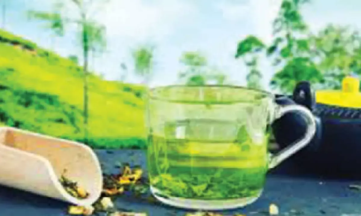 India seeks bigger slice in China’s tea market