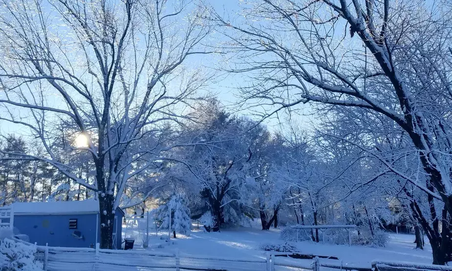 Baltimore Schools Announce Delays and Closures on December 5 Due to Winter Weather