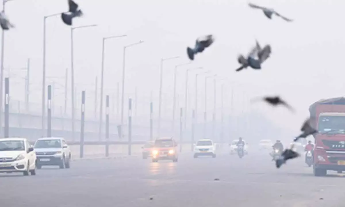 Air pollution can heighten anxiety, trigger panic symptoms: Doctors