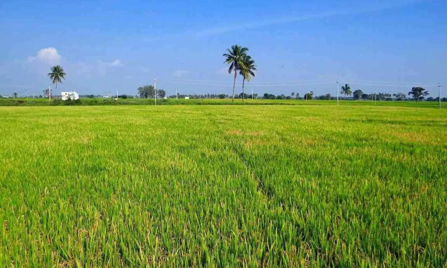 Now Register Ancestral Agricultural Land for Just ₹100: Government Simplifies the Process Now Register Ancestral Agricultural Land for Just ₹100: Government Simplifies the Process