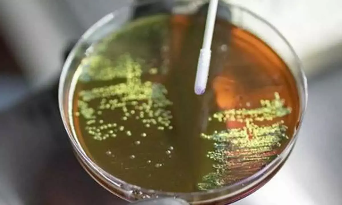 India at epicentre of superbug surge as antibiotic resistance reaches alarming levels