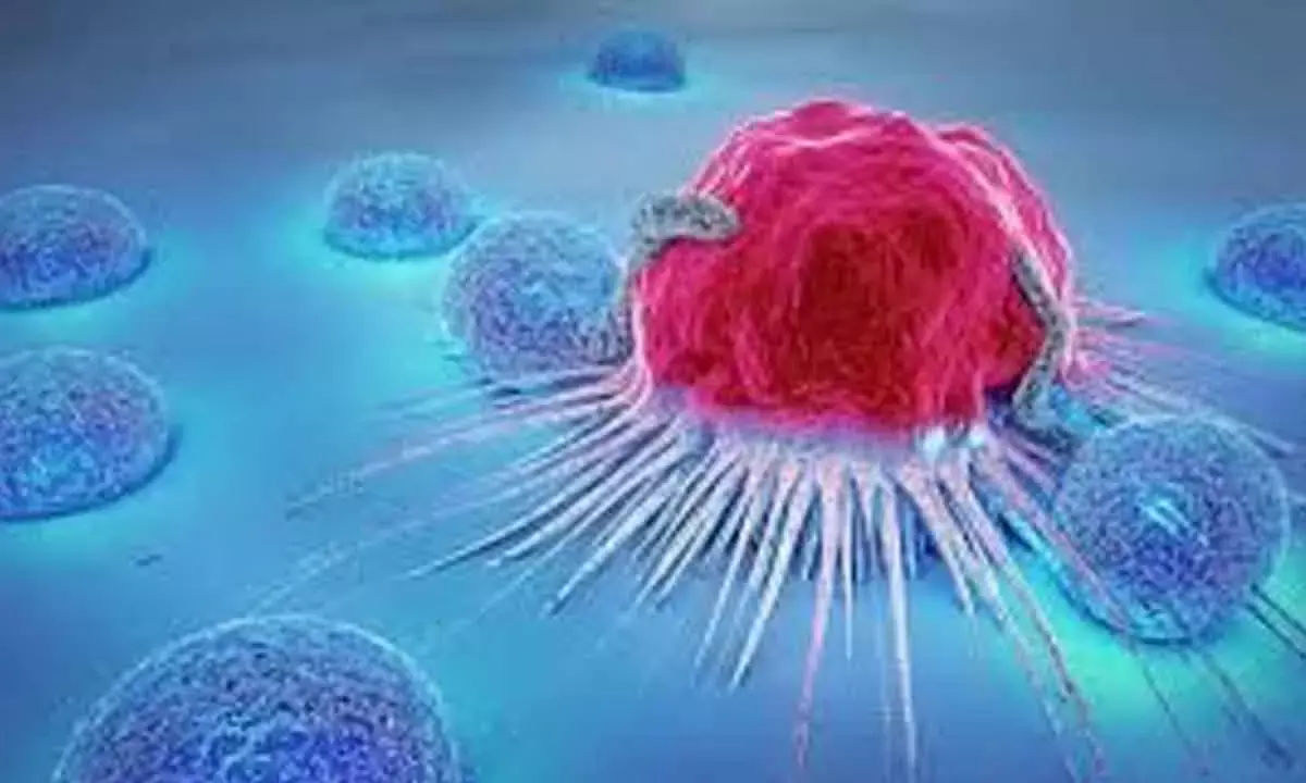 World is facing a cancer crisis thats hitting the most vulnerable hardest