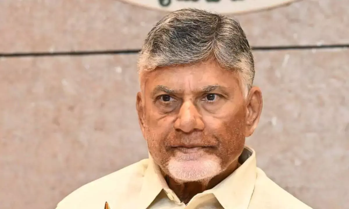 CM Naidu optimistic on further improving growth momentum in AP