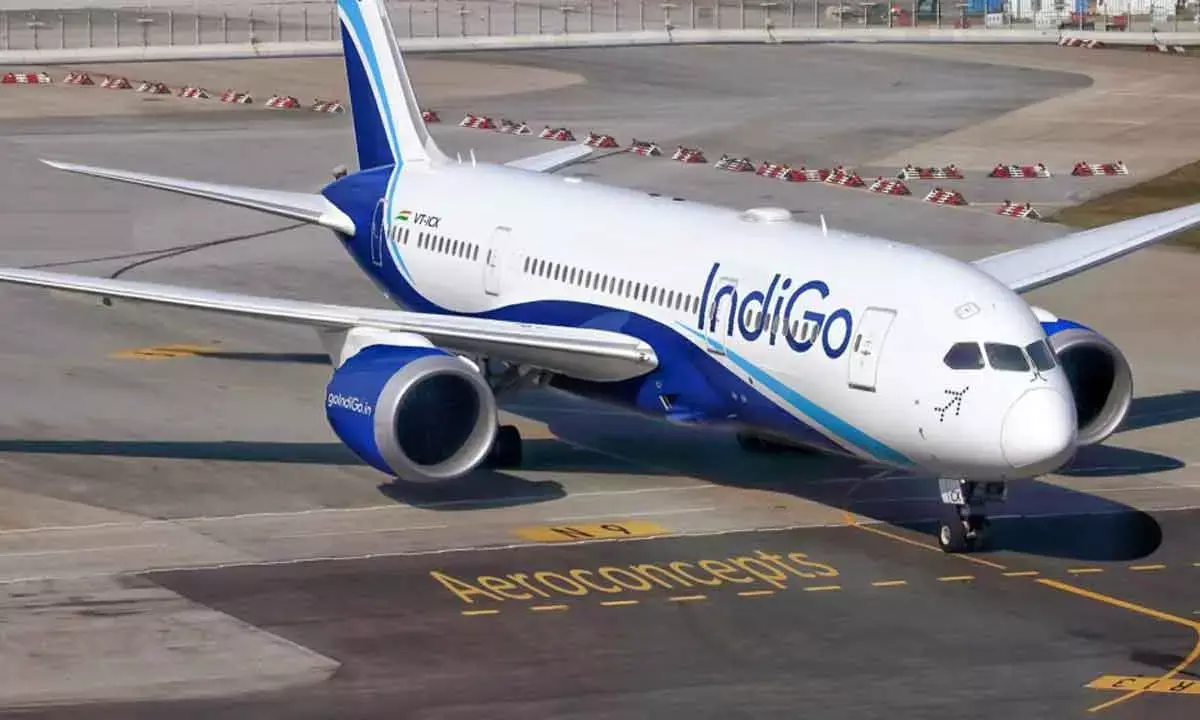 IndiGo fiasco probe