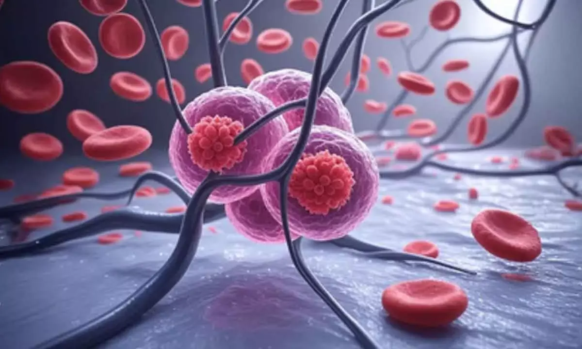 New antibody therapy shows hope for blood cancer treatment