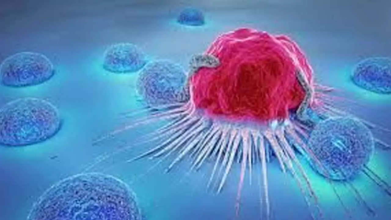 World is facing a cancer crisis thats hitting the most vulnerable hardest World is facing a cancer crisis thats hitting the most vulnerable hardest