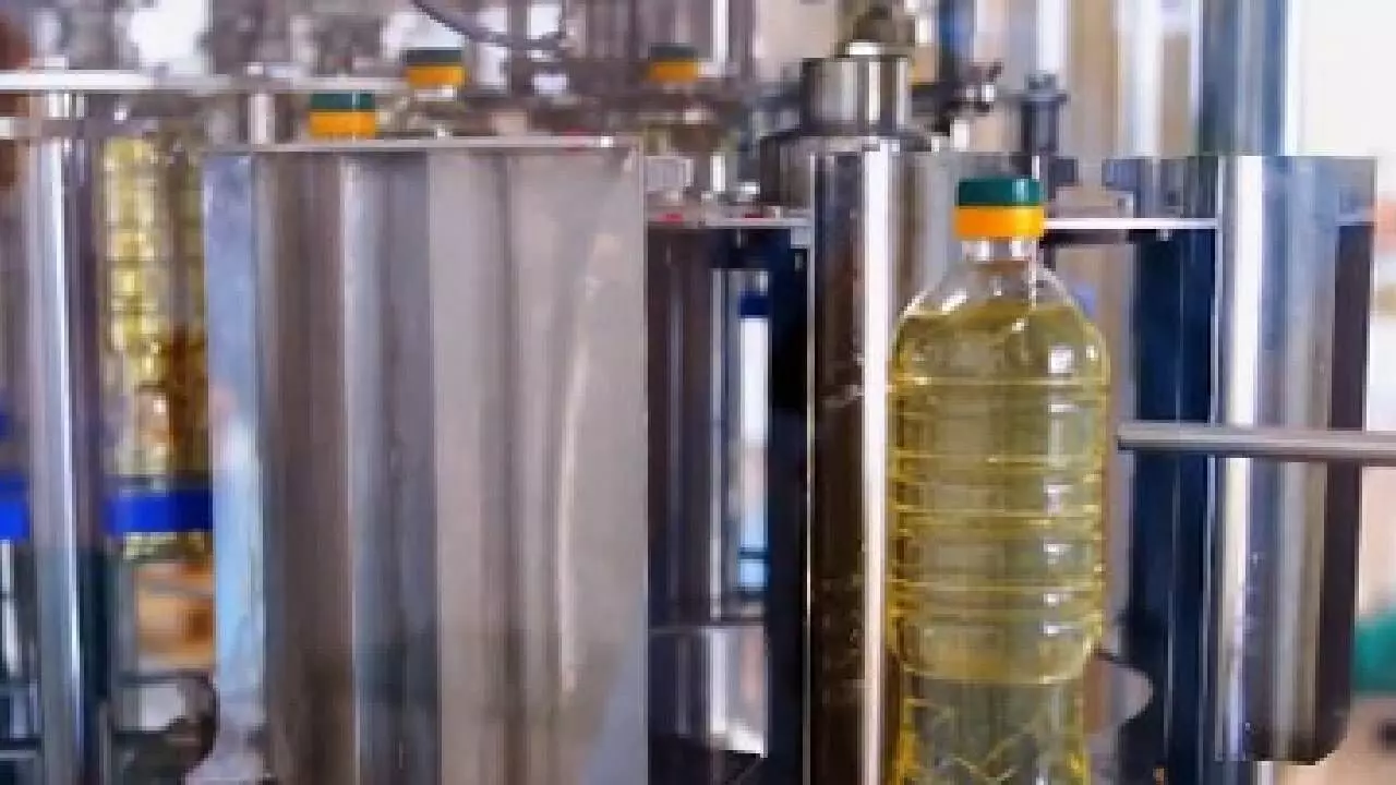 Govt to push oilseed production to 69.7 mn tonnes by 2031