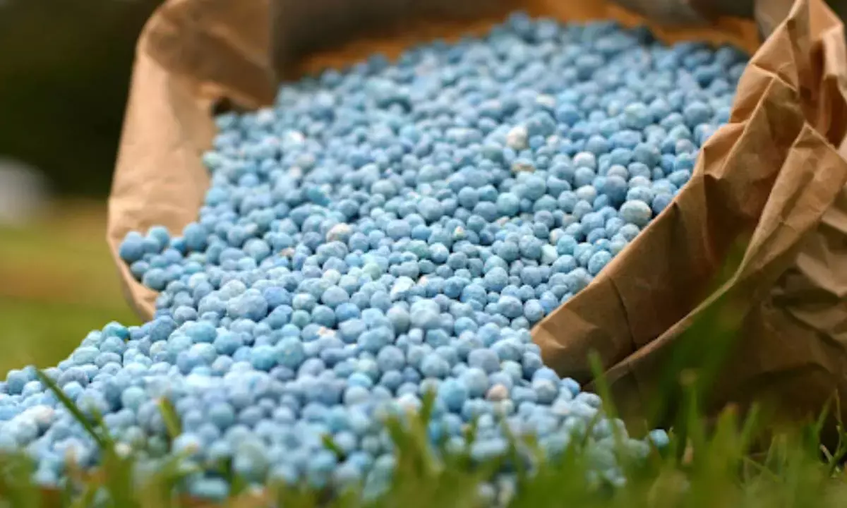 Fertilizer imports likely to jump 41% in FY26, says FAI