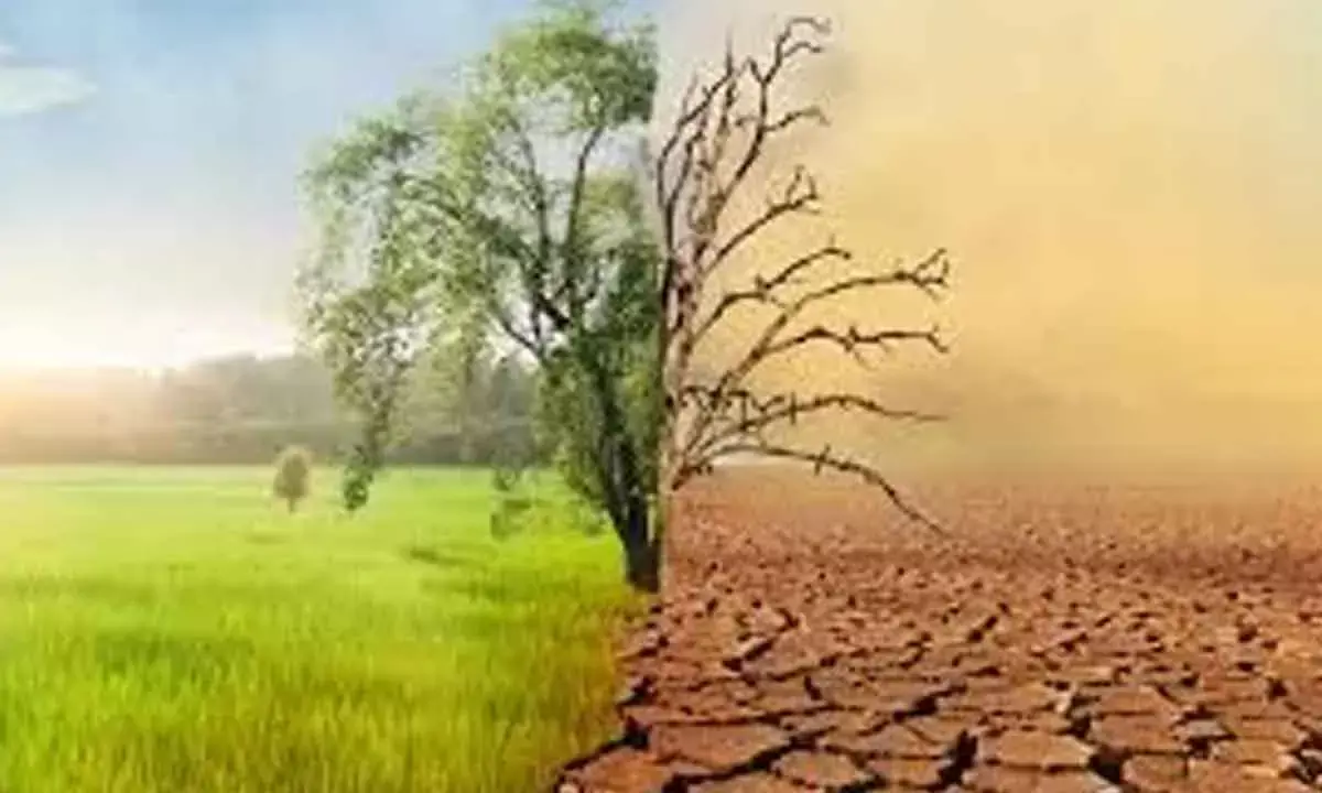 World must jointly tackle issues of climate change, pollution, biodiversity and land loss, says UN