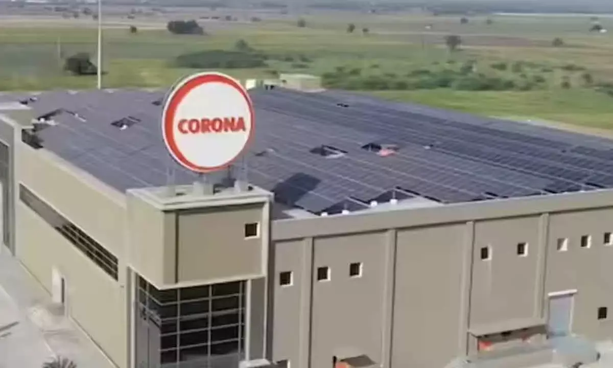 Corona Remedies Rs 655-cr IPO