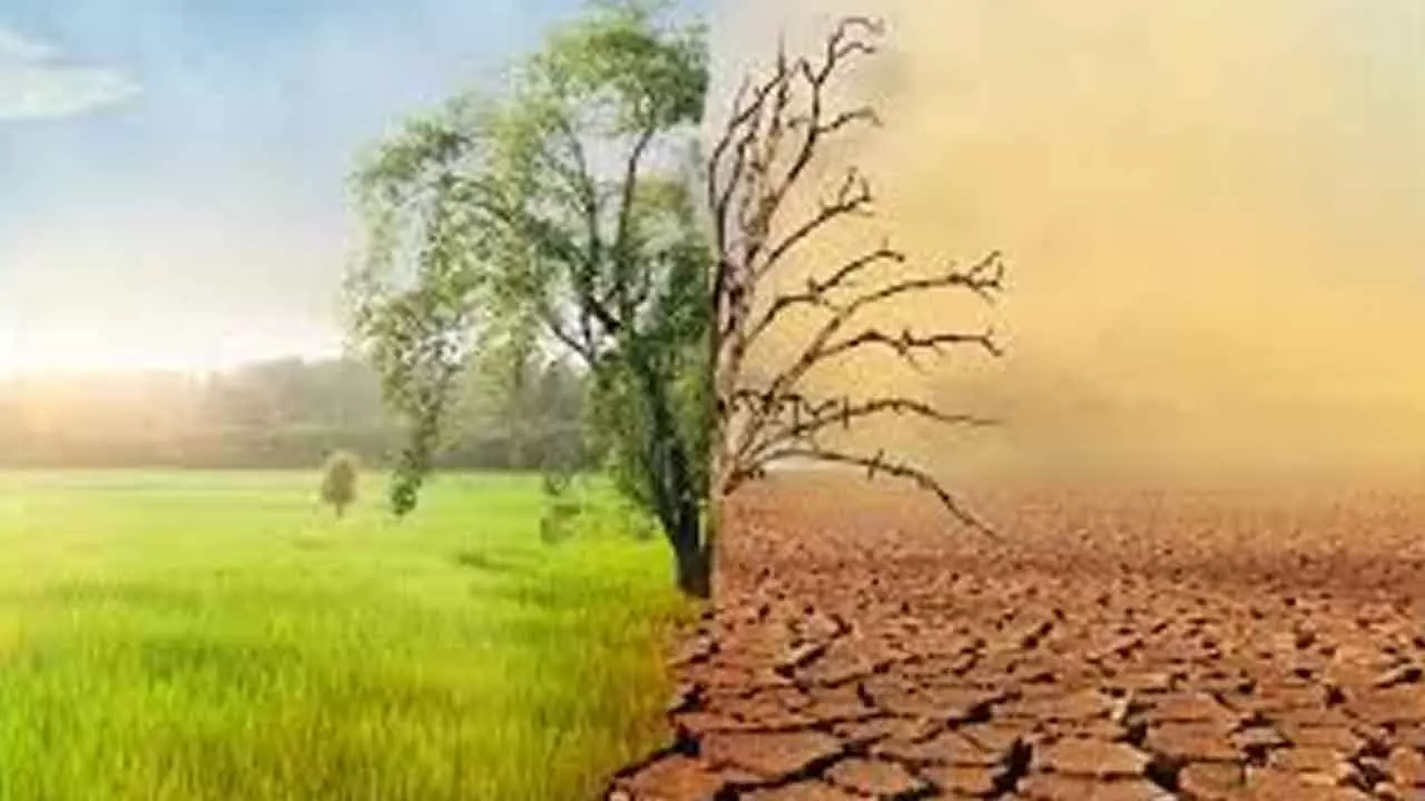World must jointly tackle issues of climate change, pollution, biodiversity and land loss, says UN World must jointly tackle issues of climate change, pollution, biodiversity and land loss, says UN