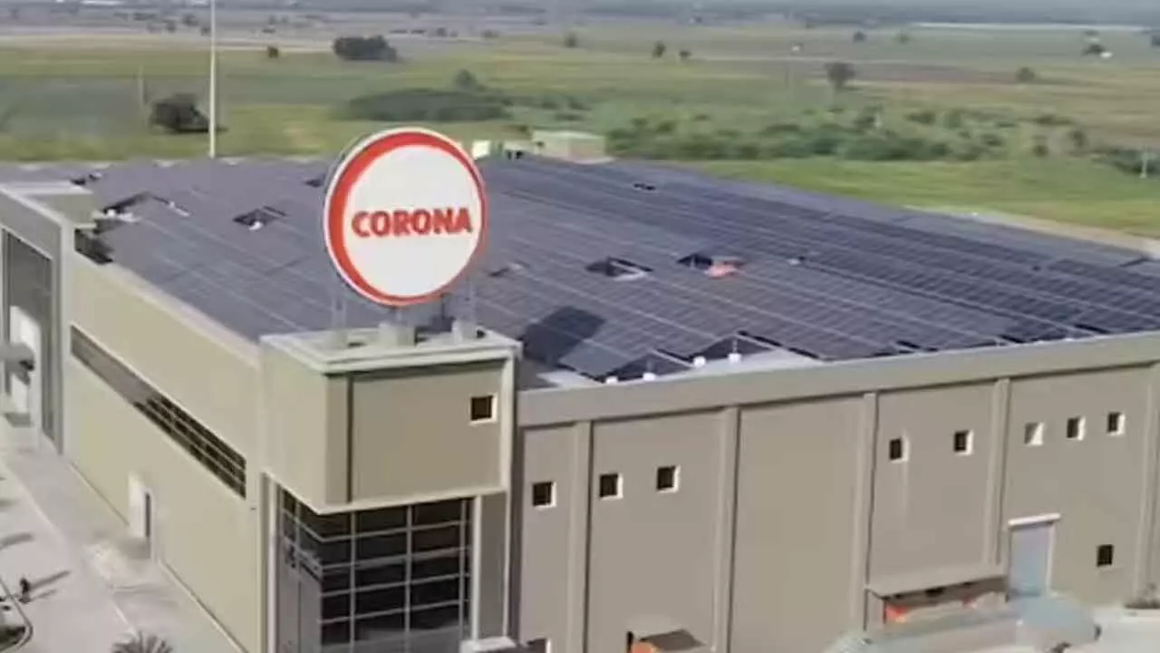 Corona Remedies Rs 655-cr IPO