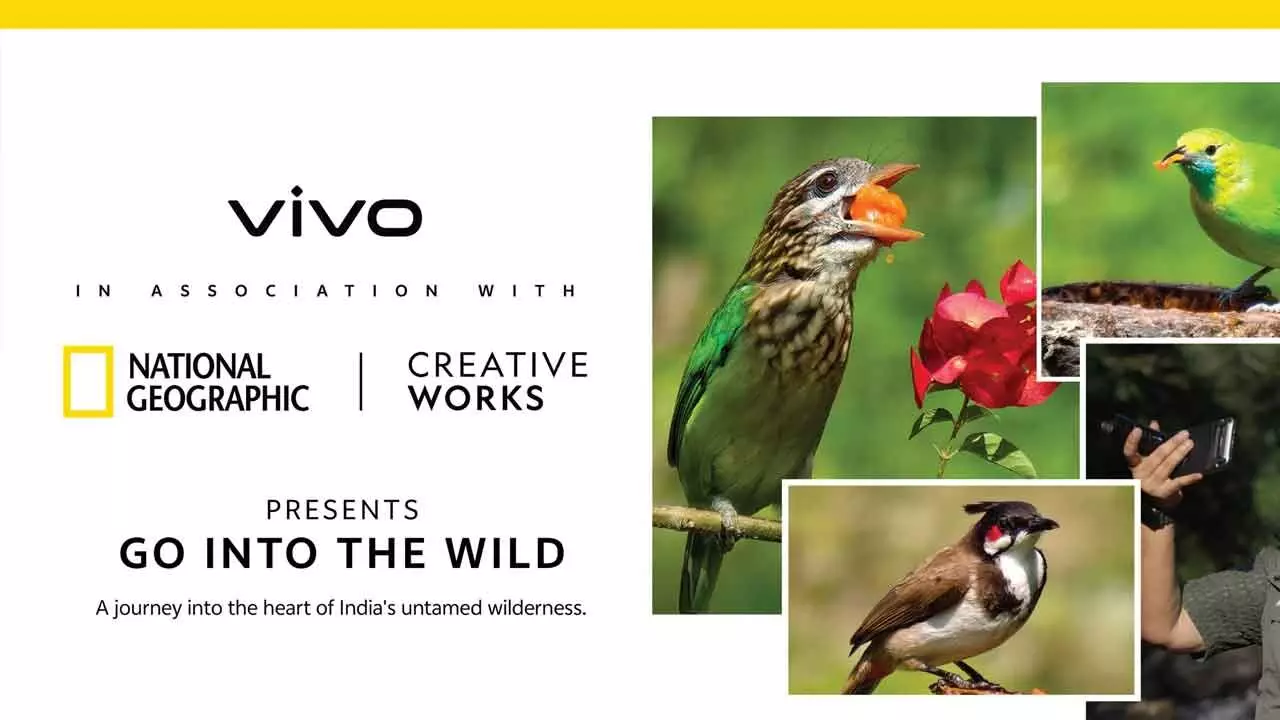 vivo, NatGeo team up for wildlife project vivo, NatGeo team up for wildlife project
