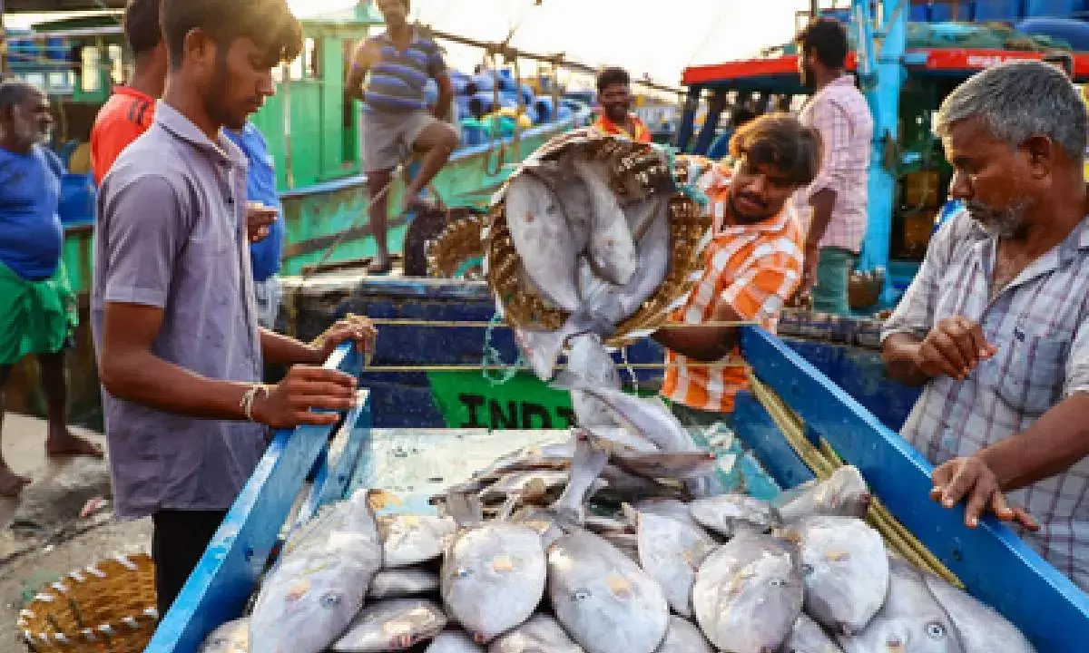 Indias seafood exports up 14% in April-Oct: Minister