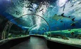 India’s Largest Tunnel Aquarium to Come Up in Hyderabad at ₹300 Crore