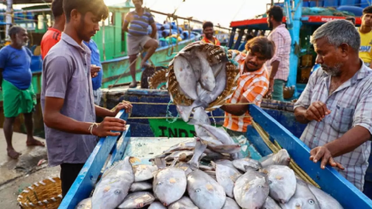 Indias seafood exports up 14% in April-Oct: Minister Indias seafood exports up 14% in April-Oct: Minister
