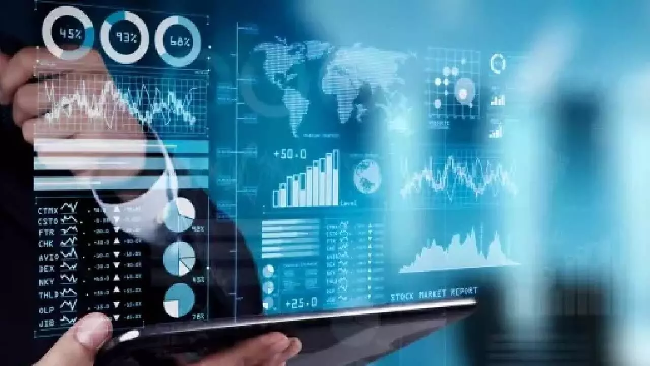 DIIs infuse $81.3 bn in 2025 DIIs infuse $81.3 bn in 2025