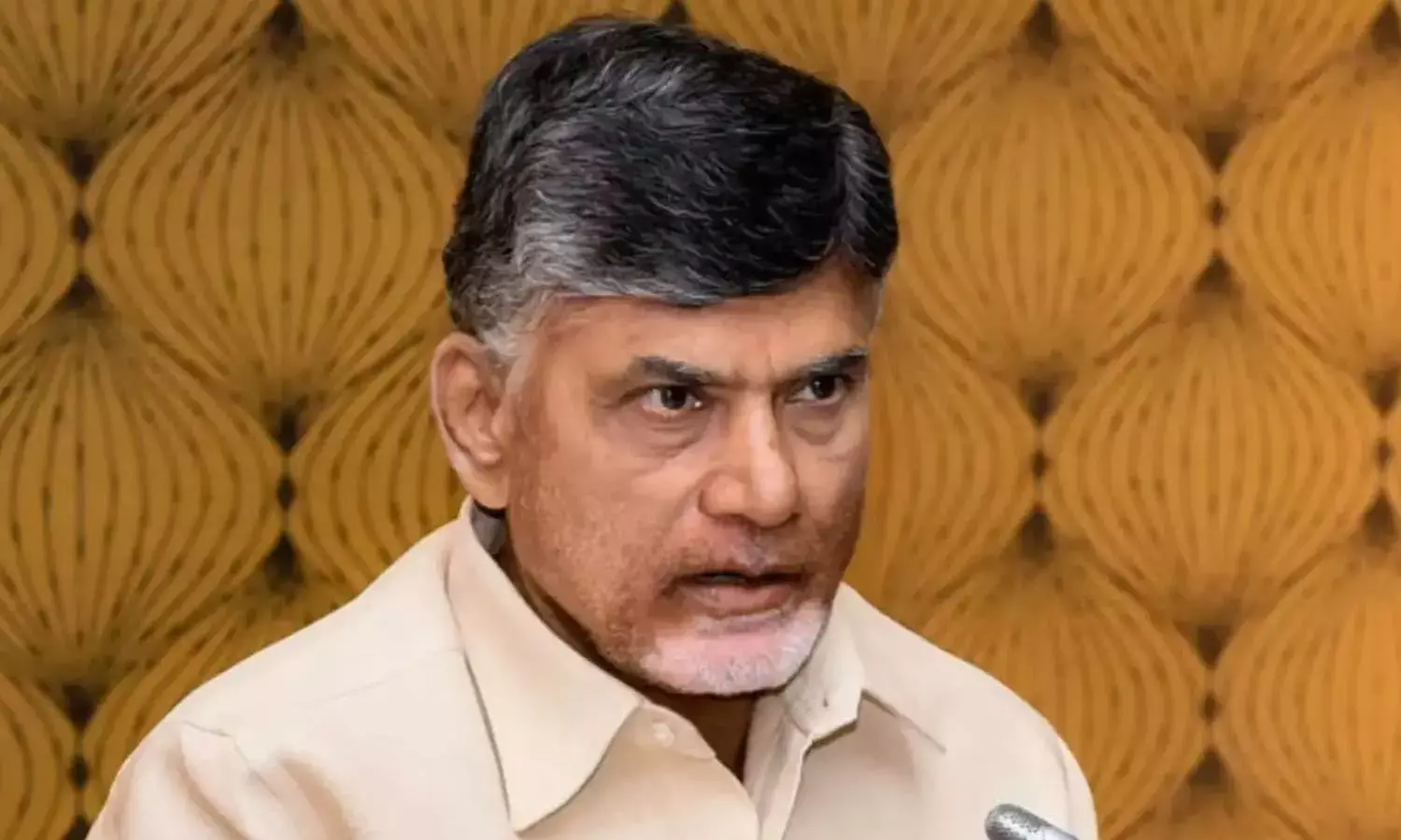 Inordinate delay in deciding fate of Rushikonda Palace irks AP CM Naidu
