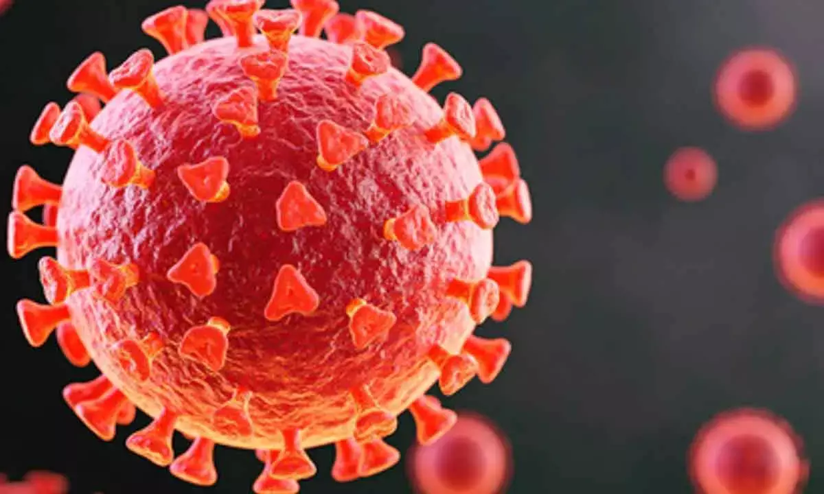 No link between Covid-19 vaccines and sudden deaths in young adults: AIIMS