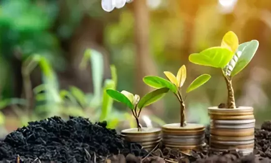 SIP Calculator: ₹10,000 Monthly Can Grow from ₹47 Lakh to ₹82 Lakh in 15 Years – Here’s How