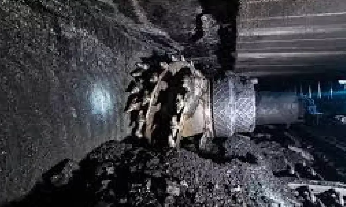 Panel for easing clearances for underground coal mining