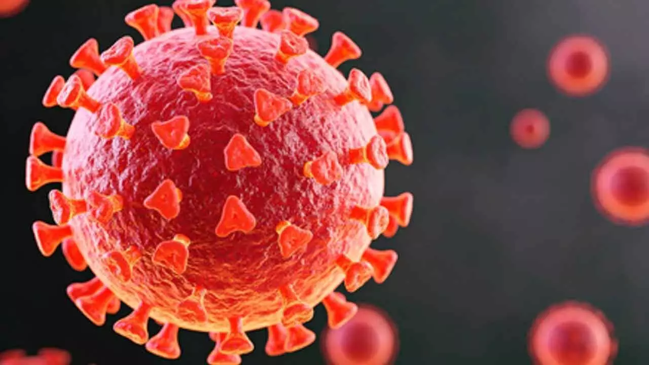 No link between Covid-19 vaccines and sudden deaths in young adults: AIIMS No link between Covid-19 vaccines and sudden deaths in young adults: AIIMS