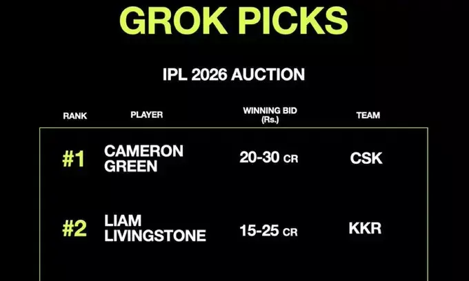 Top IPL 2026 Auction Picks According to Grok