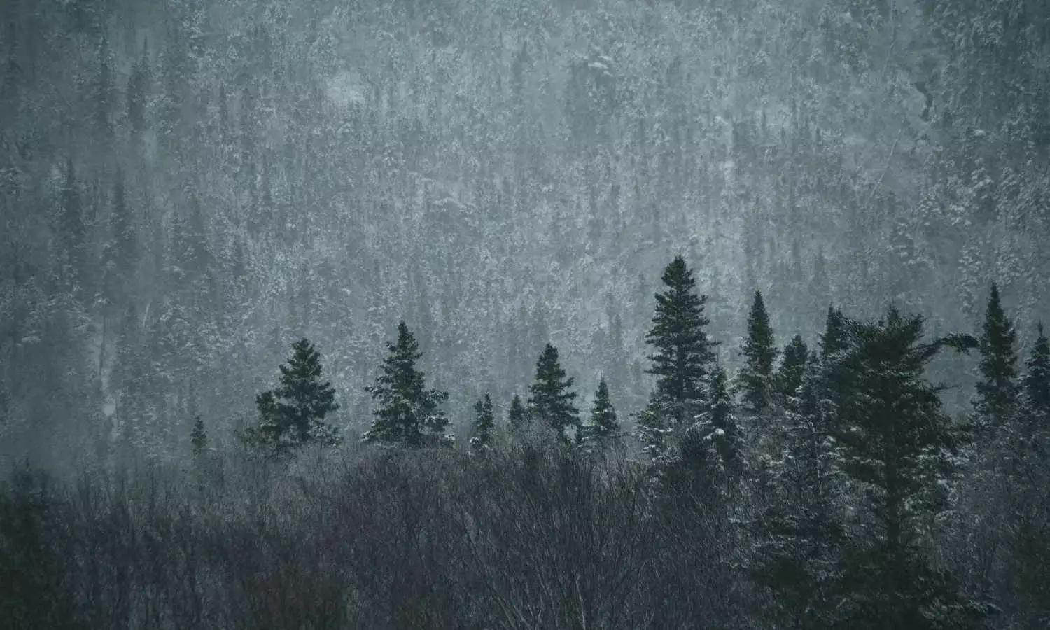 Climate variability impacting performance of winter appliances