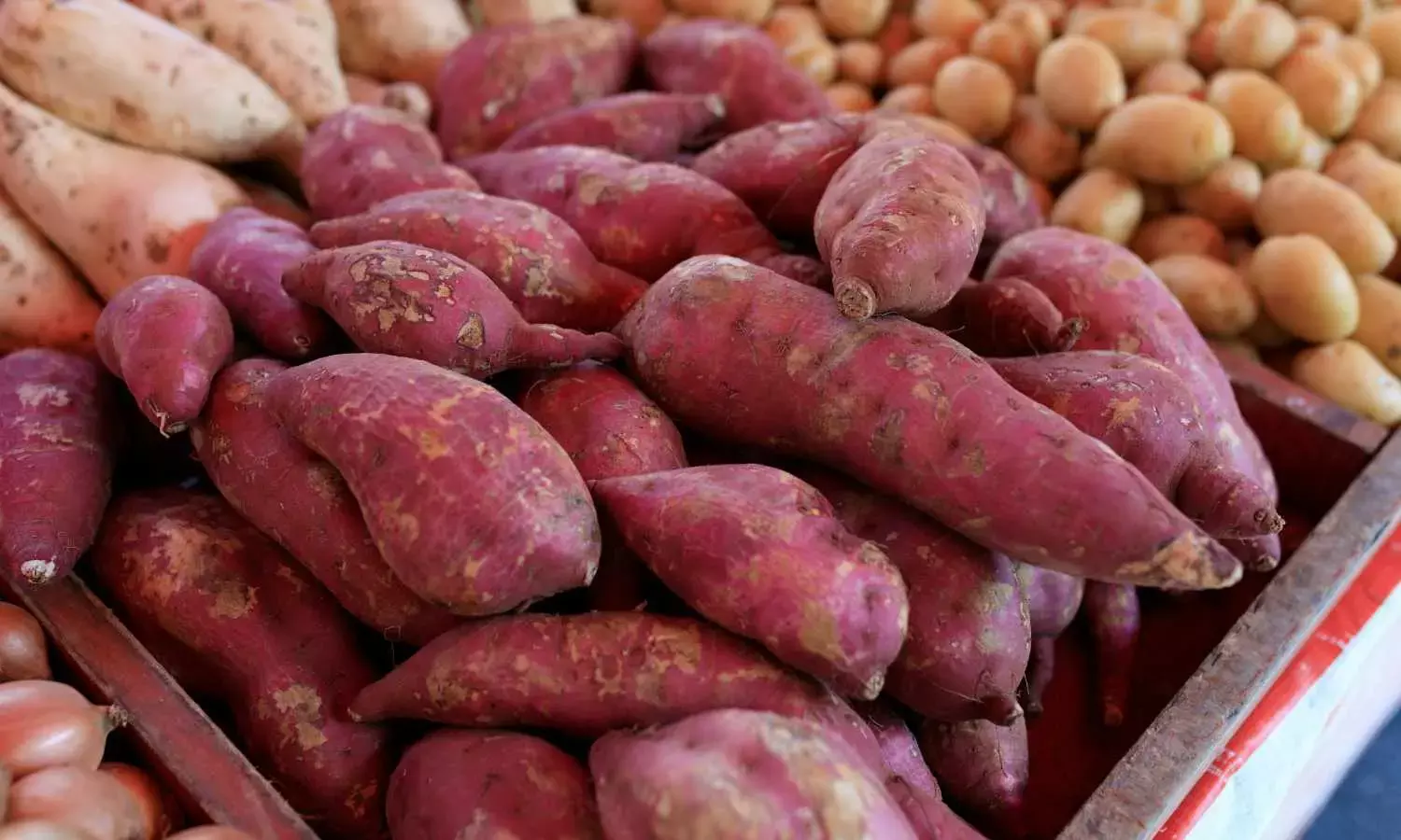 Which Sweet Potato is Best for Winter Health – Orange or Purple?