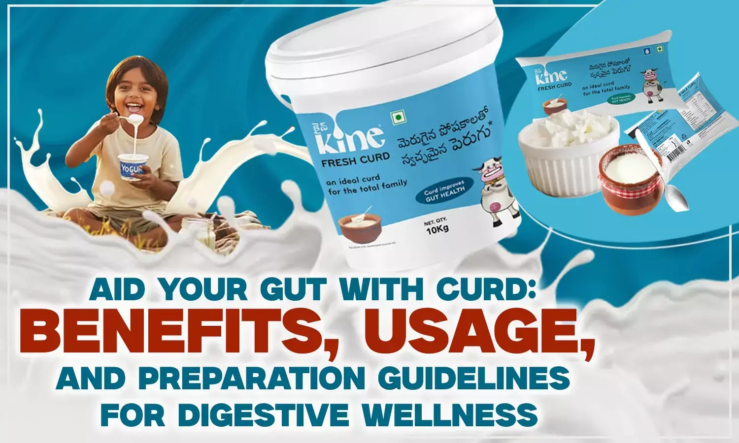 Aid Your Gut with Kine Curd: Benefits, Usage, and Preparation Guidelines for Digestive Wellness