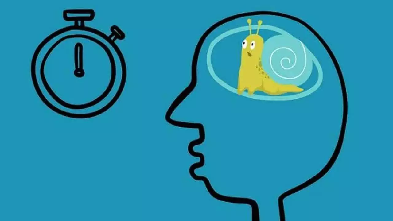 Why brain sabotages itself, evolutionary roots of self-harm and procrastination Why brain sabotages itself, evolutionary roots of self-harm and procrastination