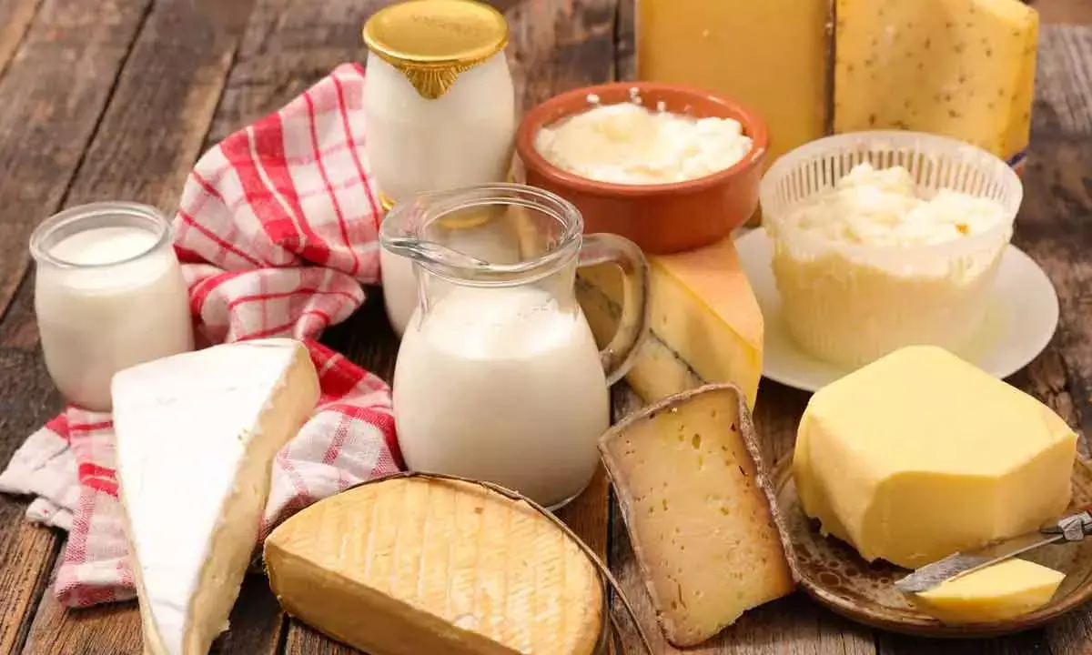 FSSAI orders nationwide enforcement drive to curb adulteration of dairy products
