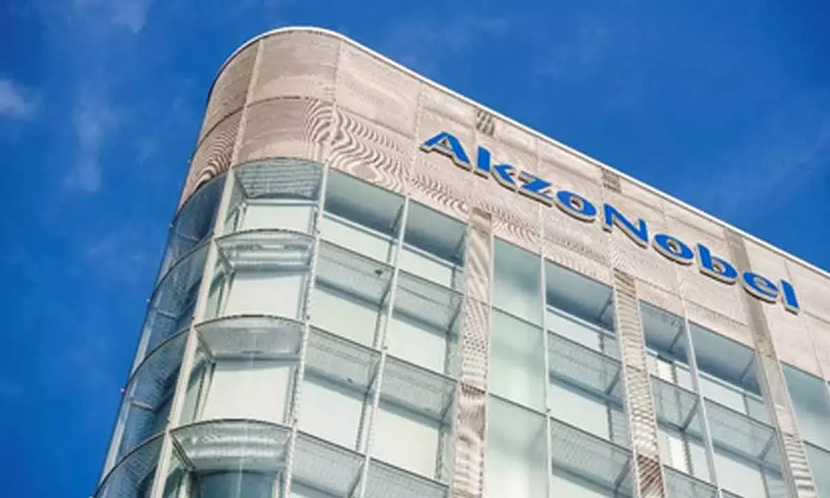 Akzo Nobel India shares tumble 15%