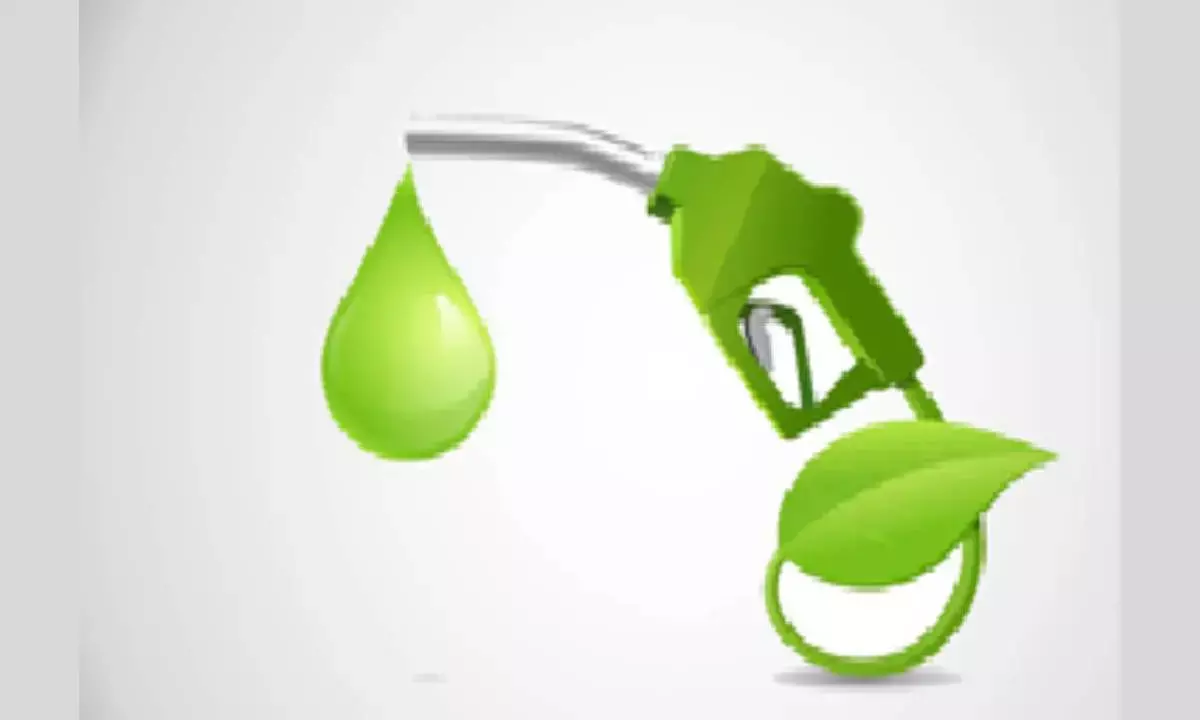 Ethanol blending in petrol reaches 19.97%: Minister